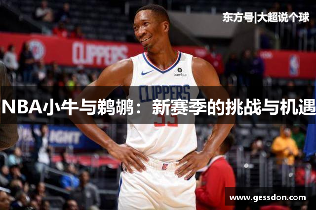 NBA小牛与鹈鹕：新赛季的挑战与机遇