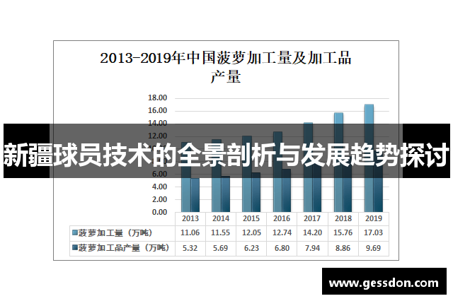 新疆球员技术的全景剖析与发展趋势探讨