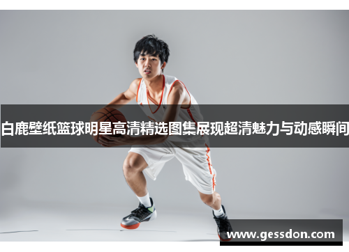 白鹿壁纸篮球明星高清精选图集展现超清魅力与动感瞬间